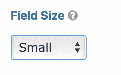 Text Field Size