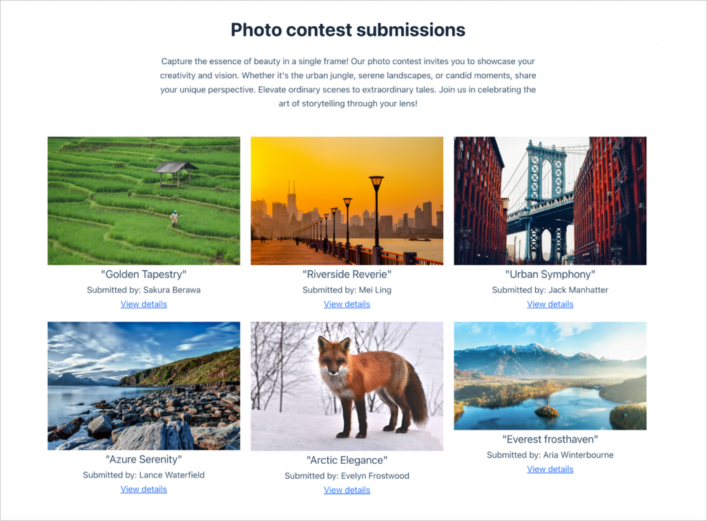 A gallery of submitted photos; each has a title below it. The photos range from scenes of New York City to animals in the wild.