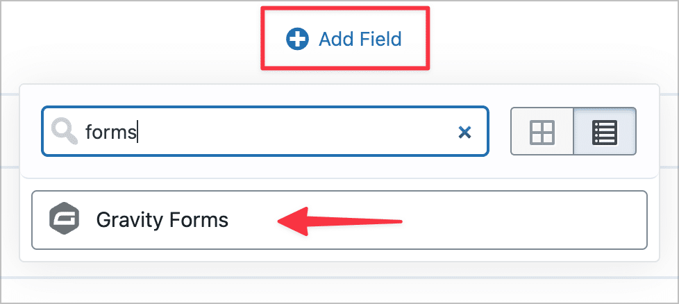 The Gravity Forms View field