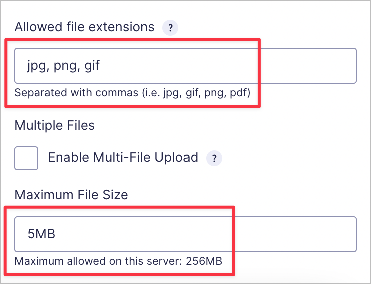 An input box titled 'Allowed file extensions', and another one below titled 'Maximum File Size'.